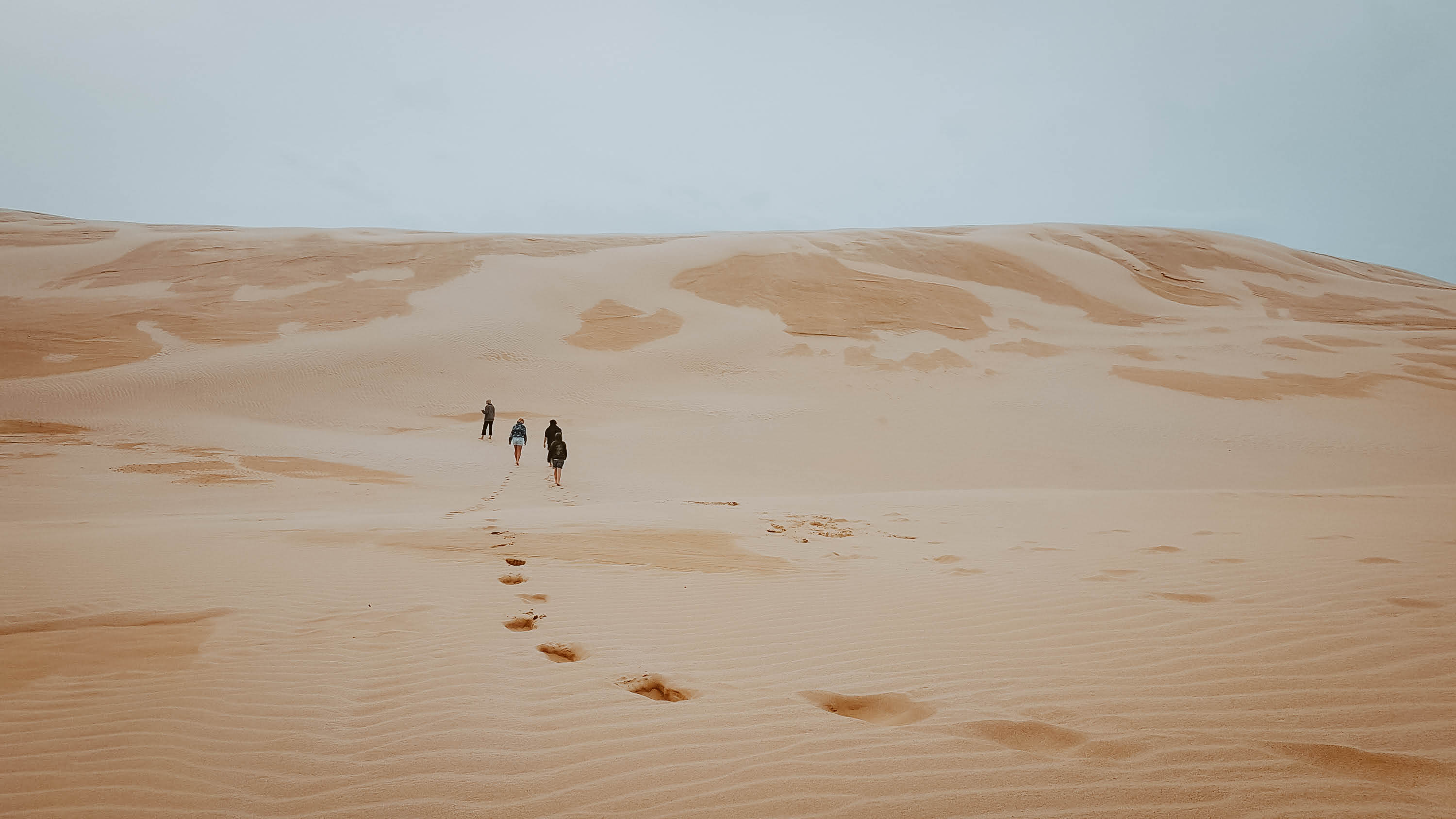 three-people-walking-sand-dunes-new-zealand